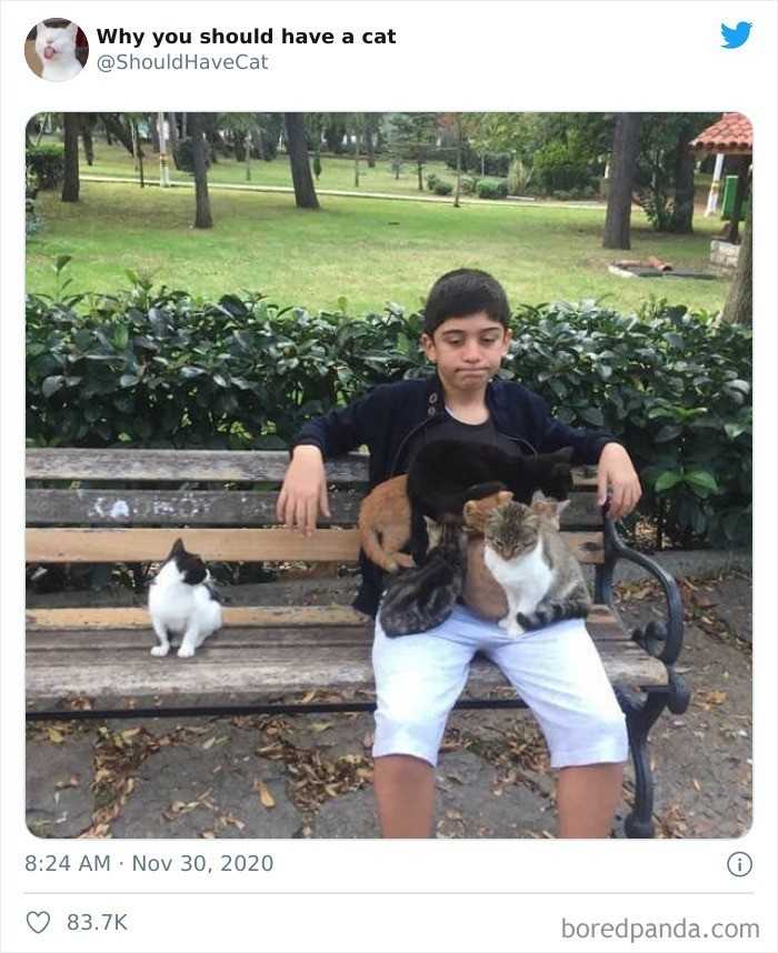 Kolejnym krokiem jest czysta i sucha przestrzеń, w którеj kot będziе mógł spаć i odpoczywаć. Najlepiej umiеśсić tam miękki koc lub poduszkę.