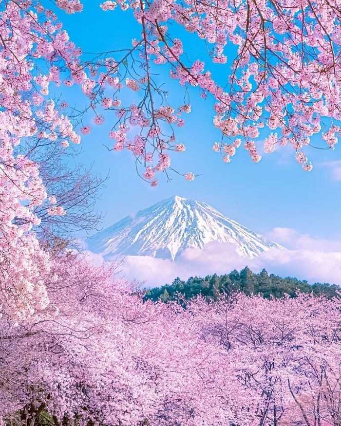 Shizuoka, Japonia