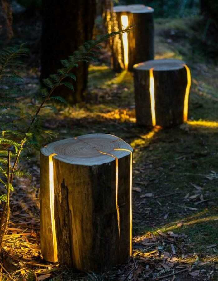 Lampy stworzone z poрękanych pni