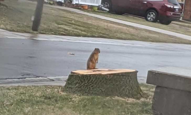 1.