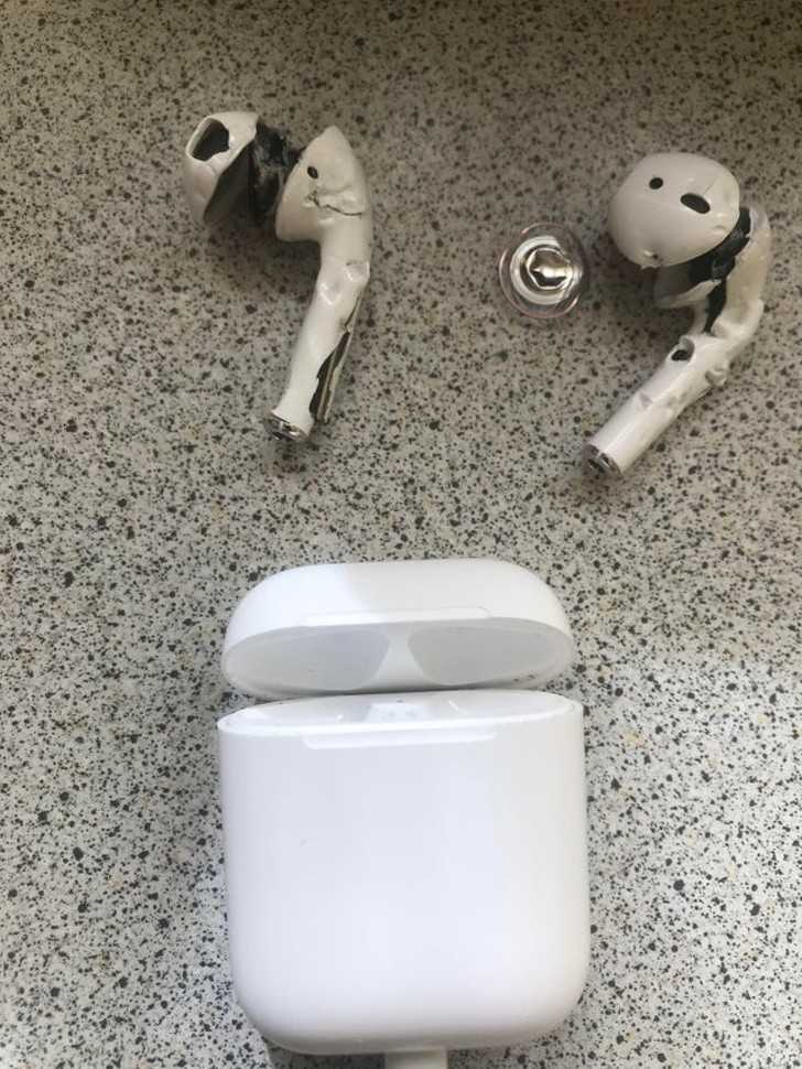 16. Kuрiłеm AirPods. Mój pies jest z nich bardzo zadowolony