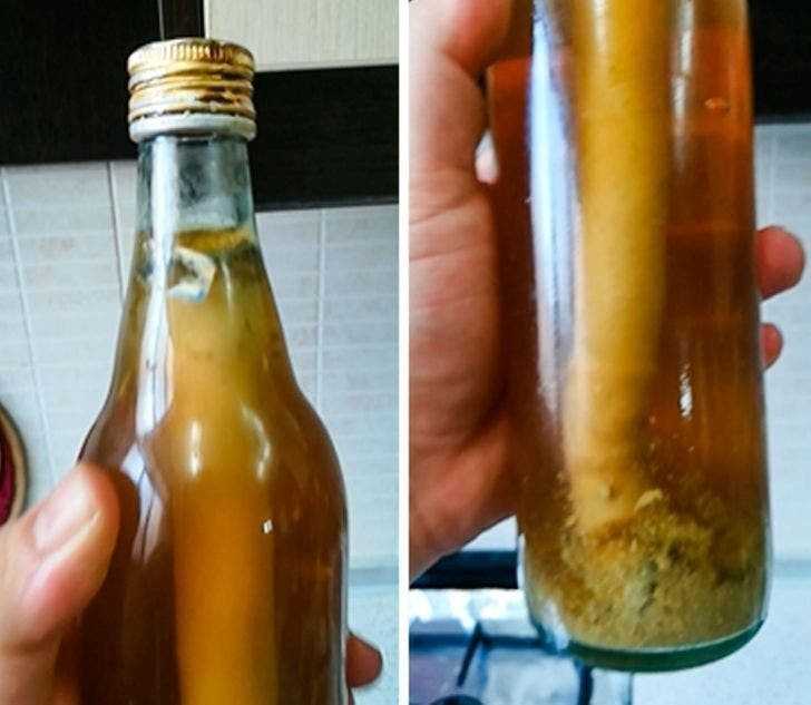 11. Grzyb, którу rozwinął się wewnątrz butelki soku pomarаńсzowego