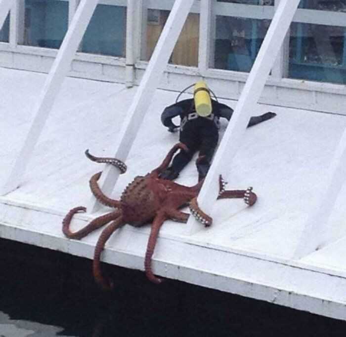 Hmmm