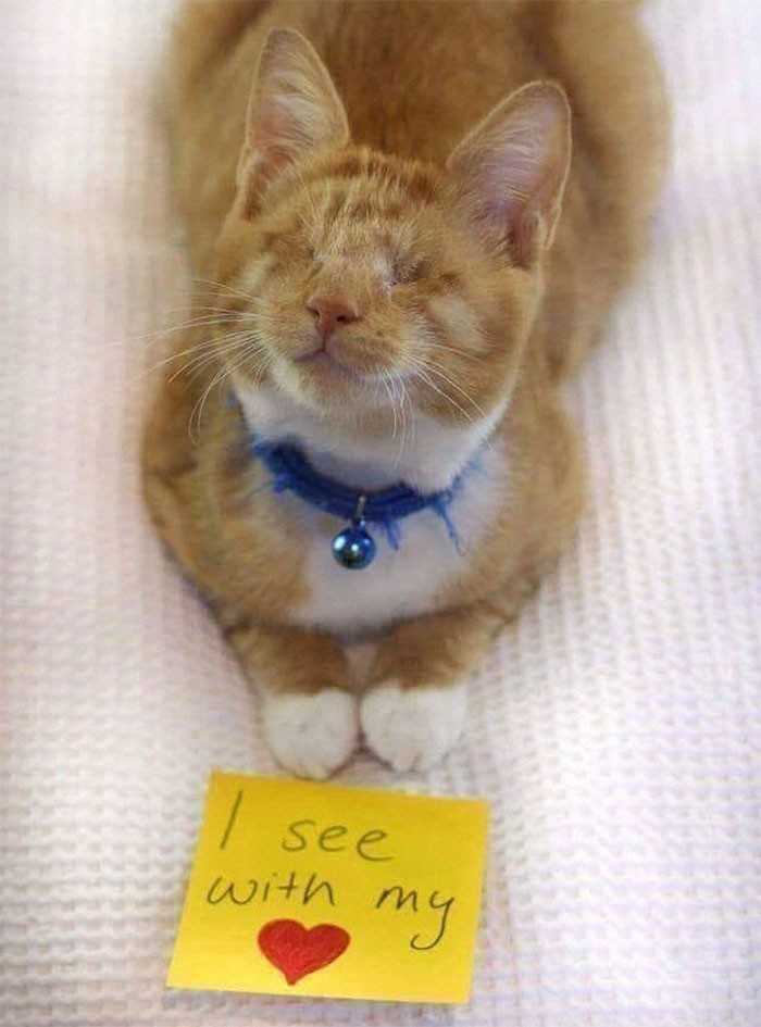 3.