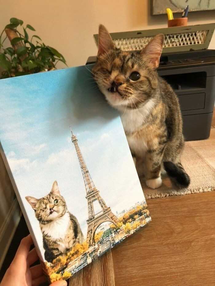 8.