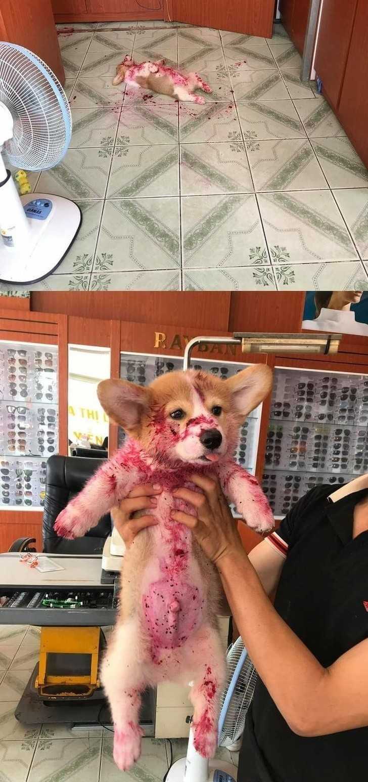 1.