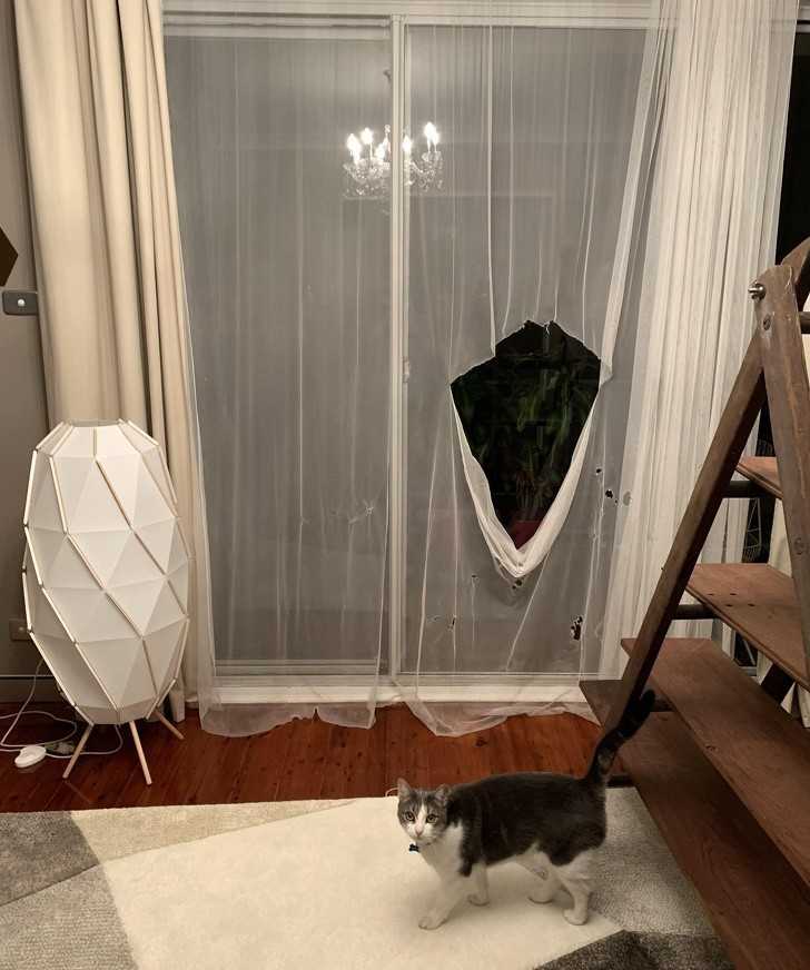 8.