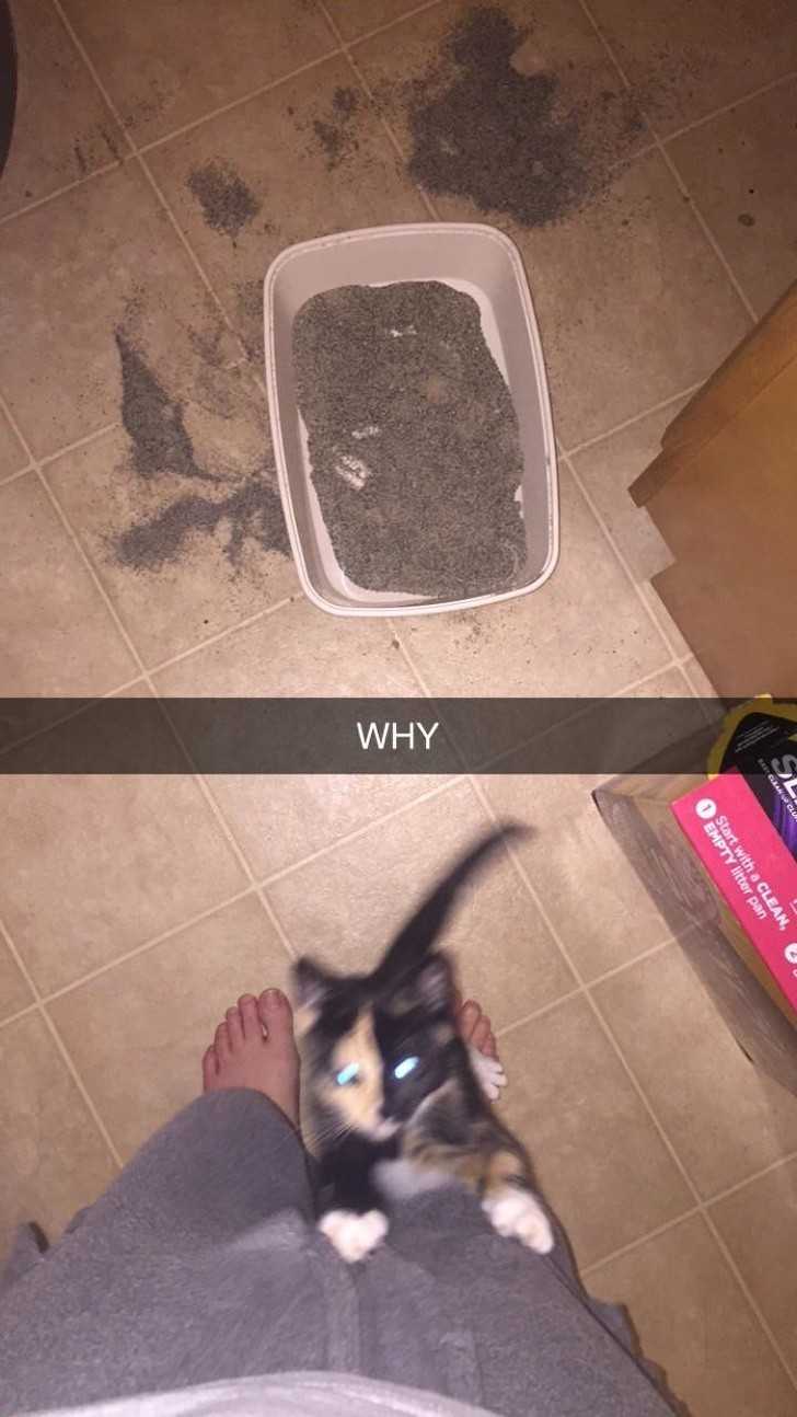 16.