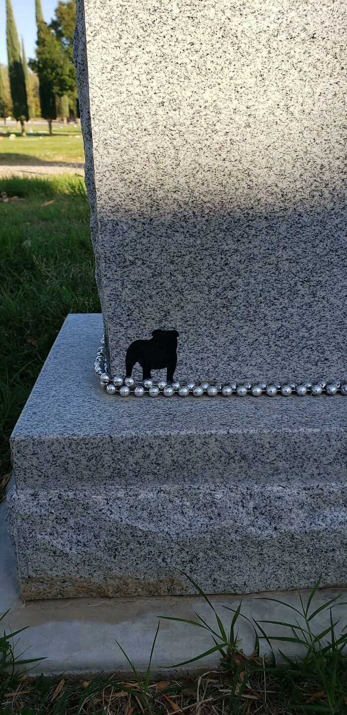 6.