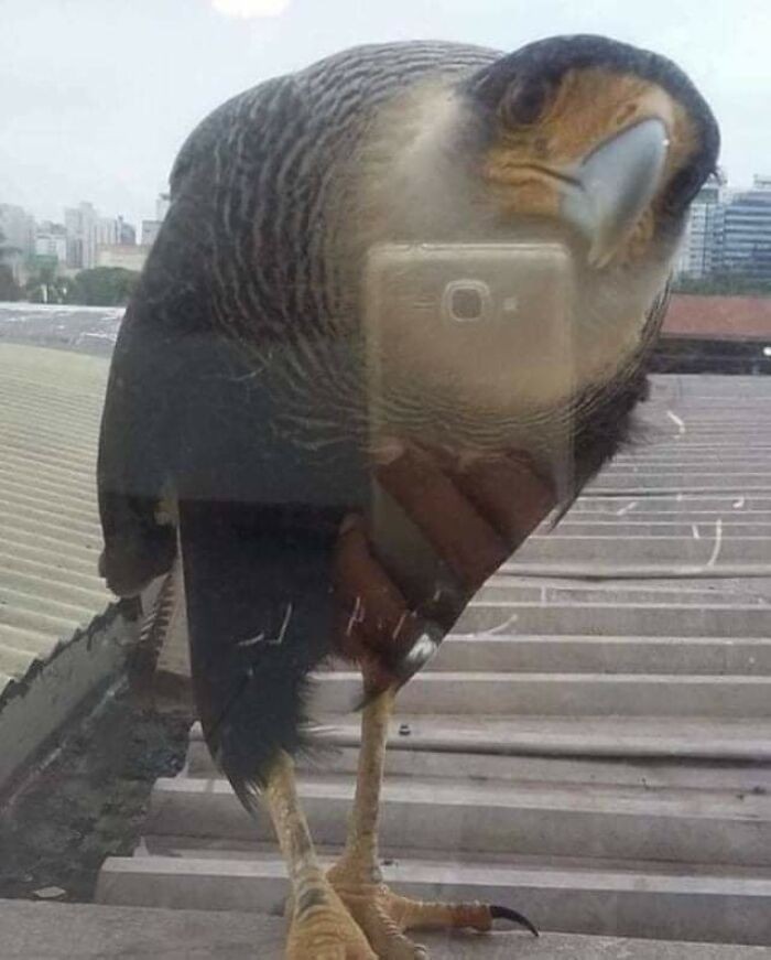 Niezłе ujęсie