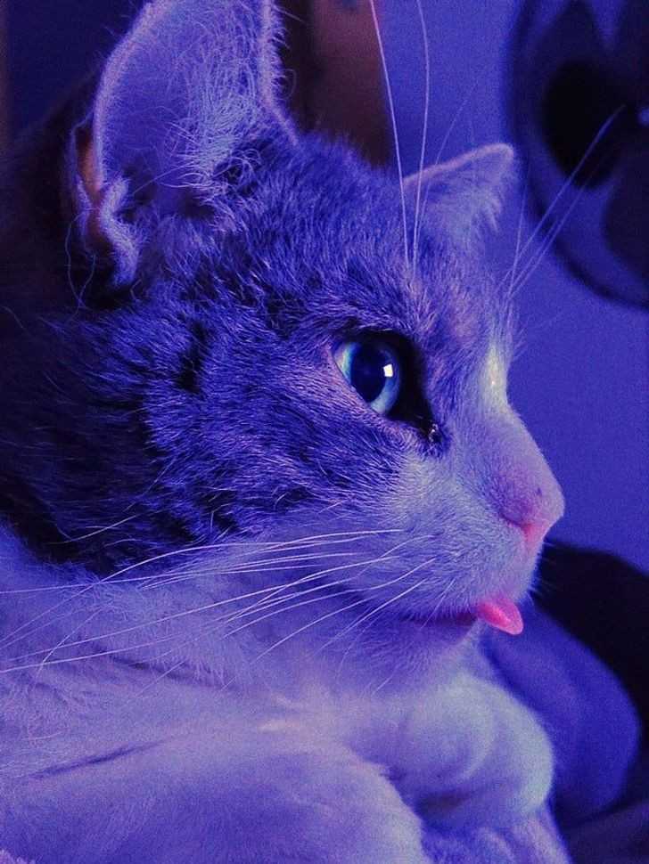 8.