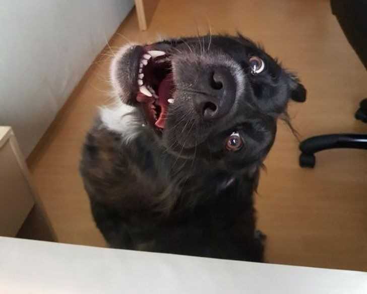 17.