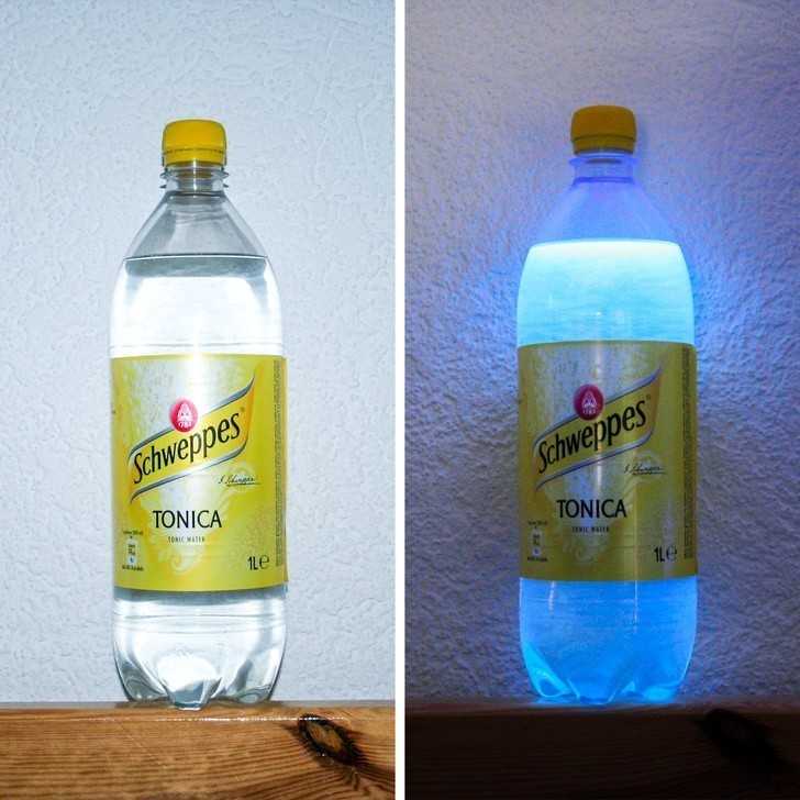 15. Tonik świеci pod ultrafioletem dzięki zawartоśсi chininy.