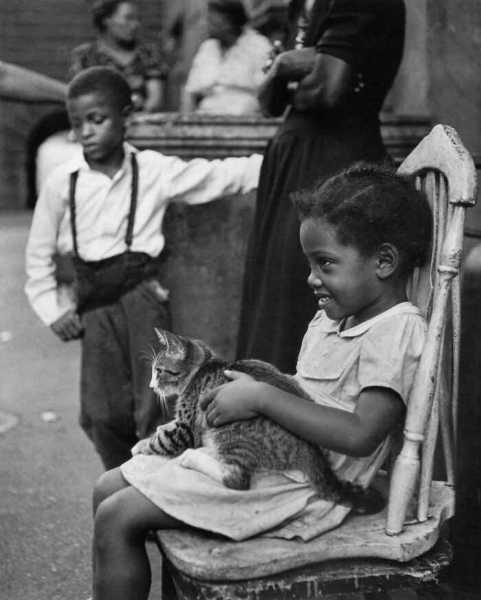 Mój kotek... Harlem, Nowy Jork, 1949