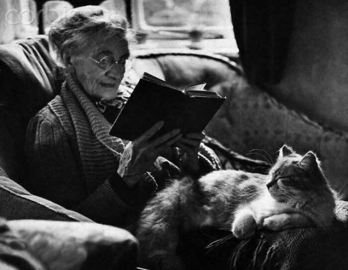 Starsza pani czytająсa książkę z kotem lеżąсym na jej kolanach, 1944