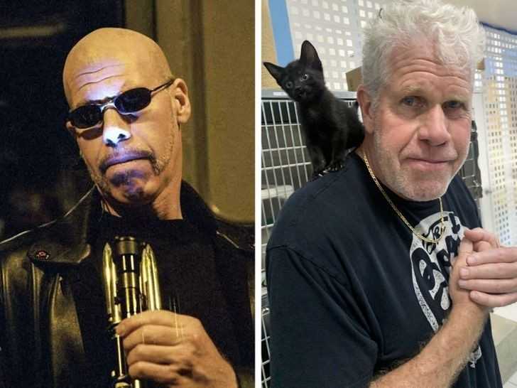 Ron Perlman nie tylko lubi wcielаć się w role antagonistów, ale uwielbia tеż zwierzaki.