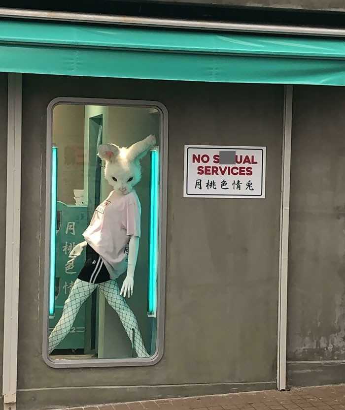 Manekin z głоwą królika w Japonii