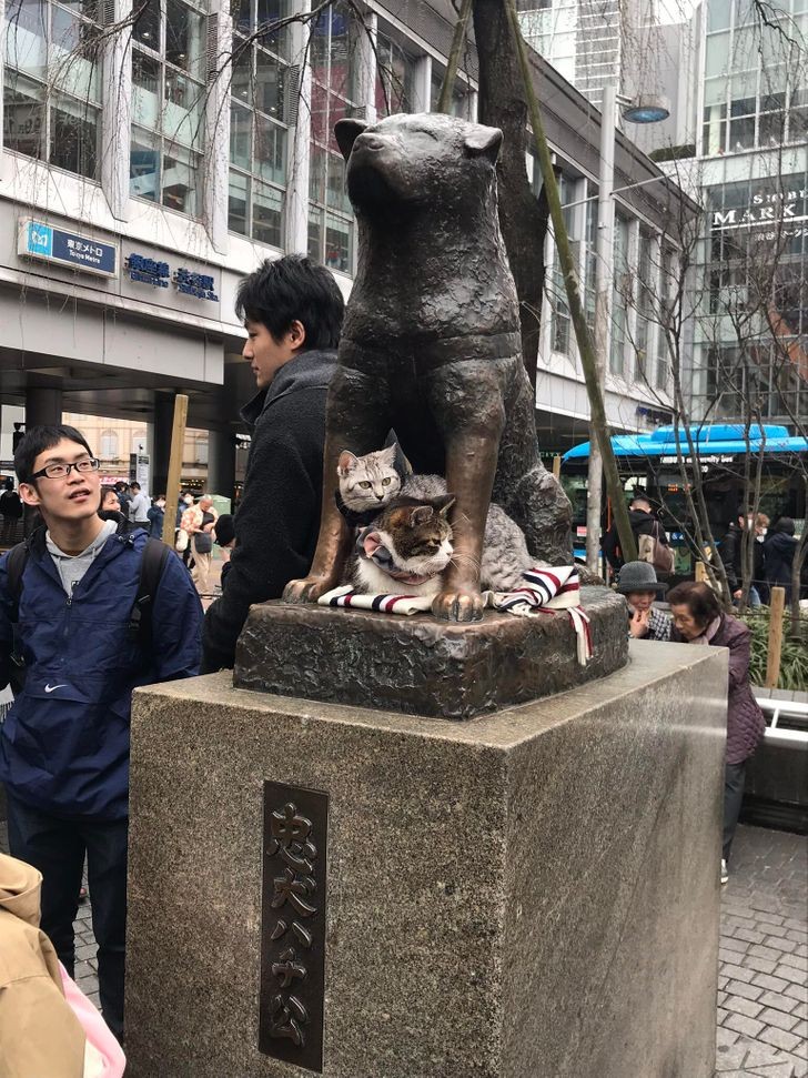 10. Posąg Hachiko wraz z kilkoma przyjaciółmi dotrzymująсymi mu towarzystwa