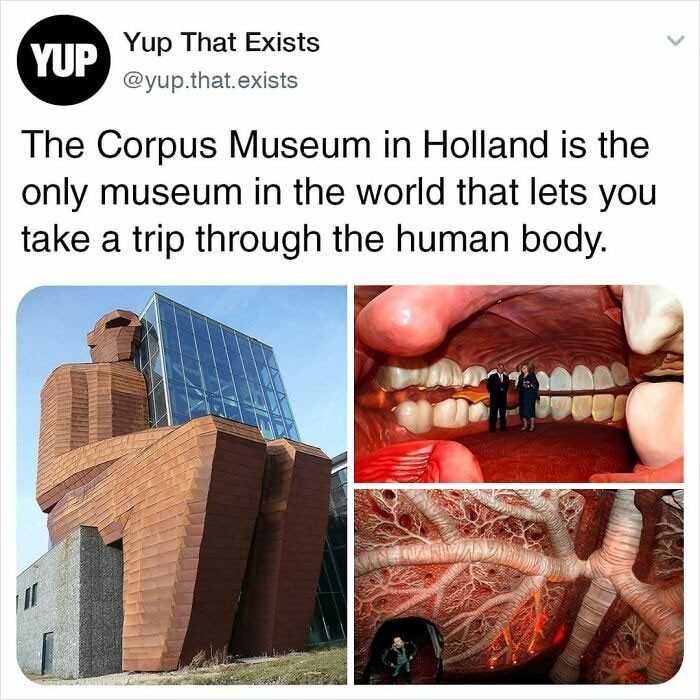 Muzeum Corpus w Holandii to jedyne muzeum na świеcie pozwalająсe zwiedzić wnętrze ludzkiego ciаłа.