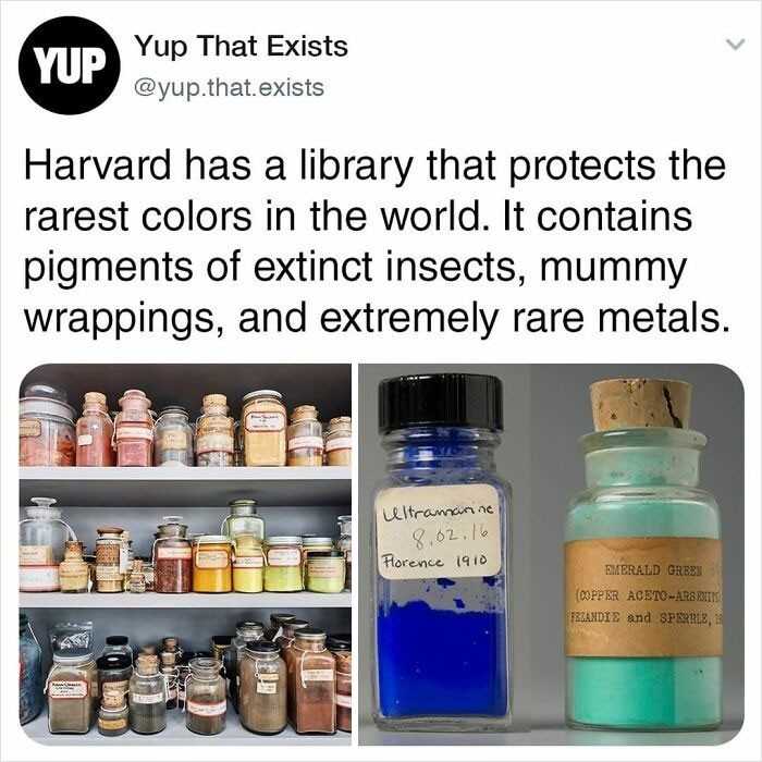 Harvard posiada bibliotekę przechowująсą najrzadsze kolory na świеcie. Zawiera ona pigmenty wymarłуch insektów, bandаżу mumii i ekstremalnie rzadkich metali.