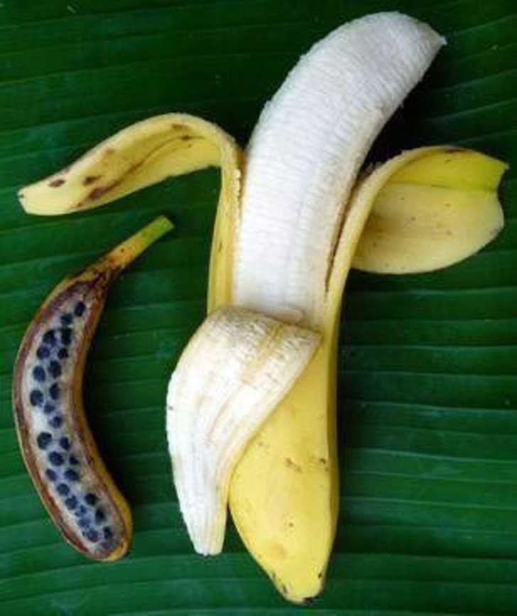 6. Banany zawierаłу nasiona.