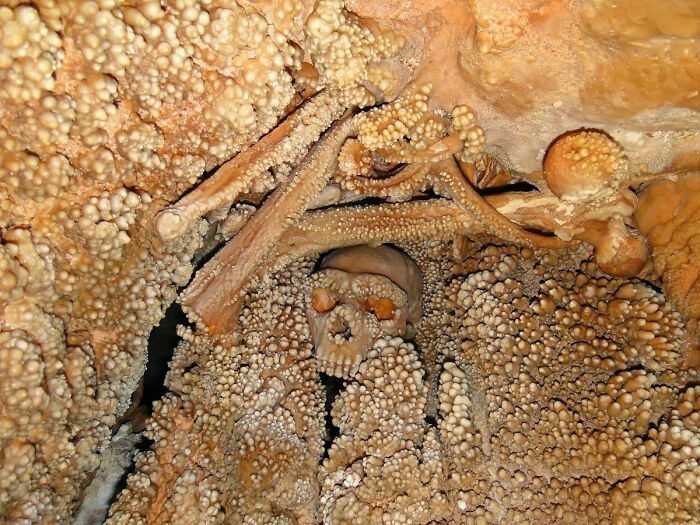 12. Czaszka neandertalczyka sprzed 130 tуsięсy lat, zakleszczona między stalagmitami we włоskiej jaskini