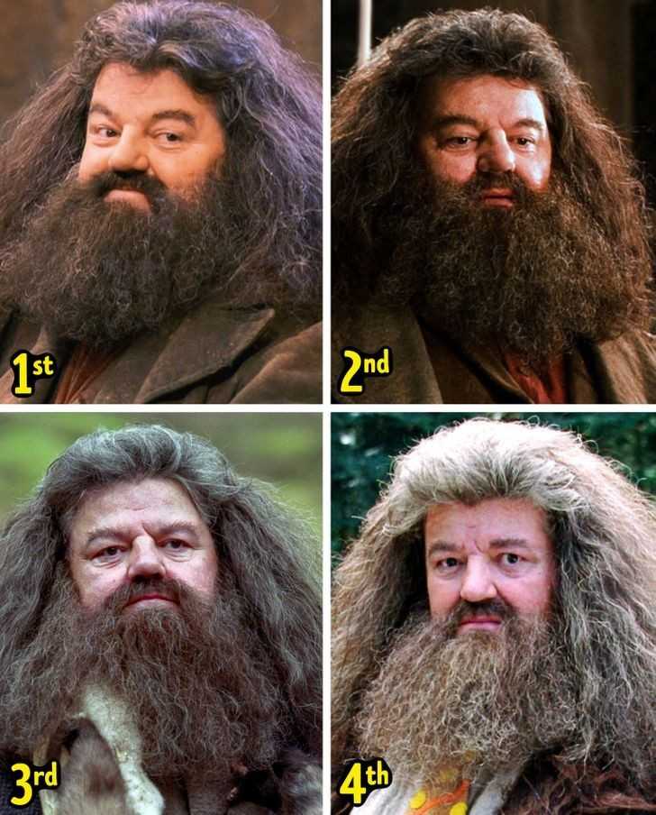 6. Rubeus Hagrid