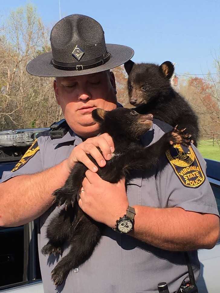 Poliсjant uratowаł mаłе niedźwiadki czarne.