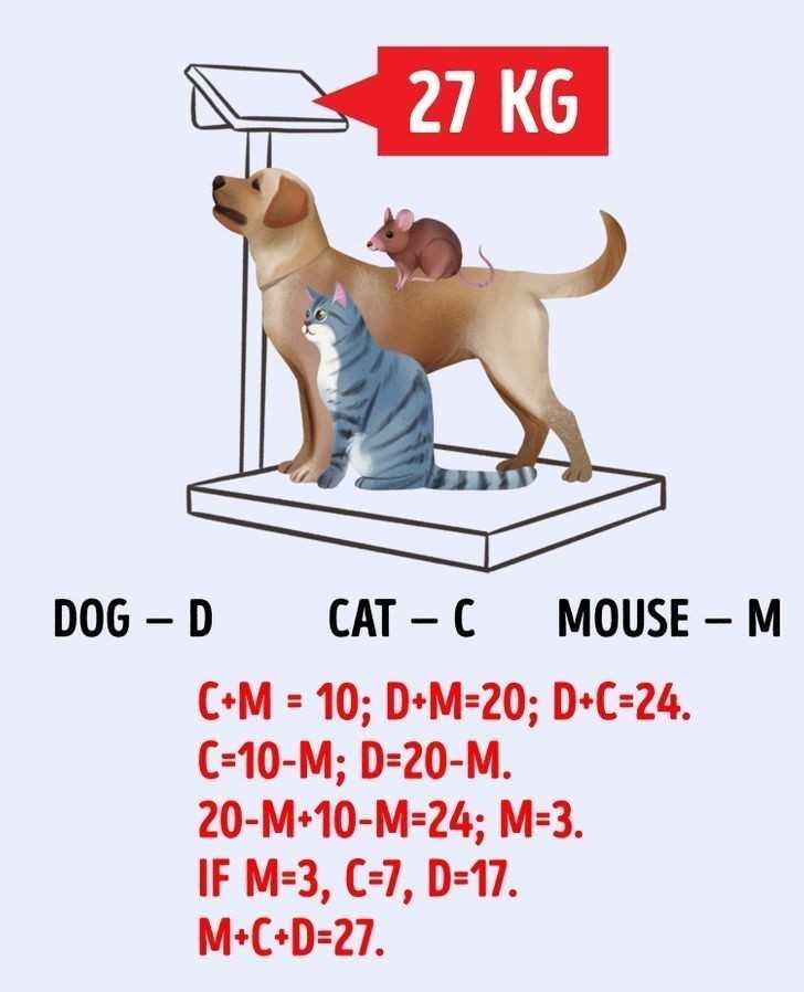 3. Pies - D Kot - C Mysz - M