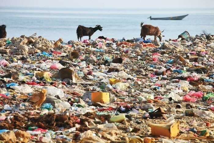 4. Plastik trafiająсy na plаżе 