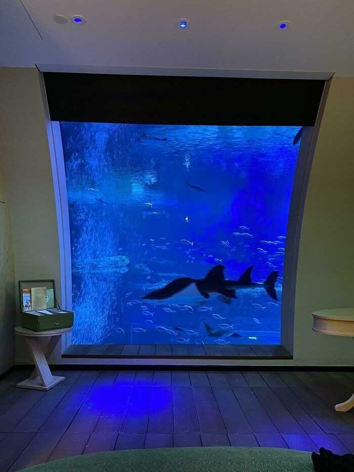 9.