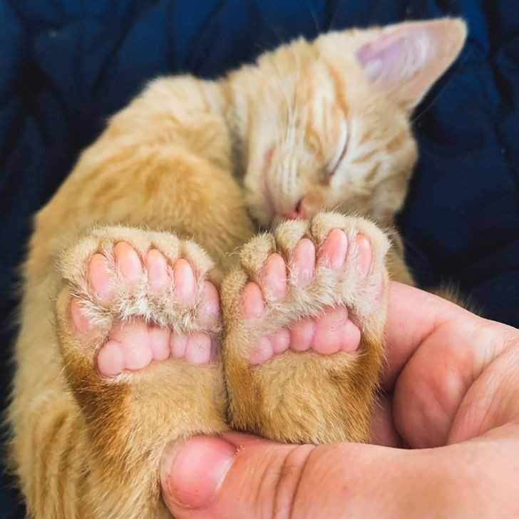 5.