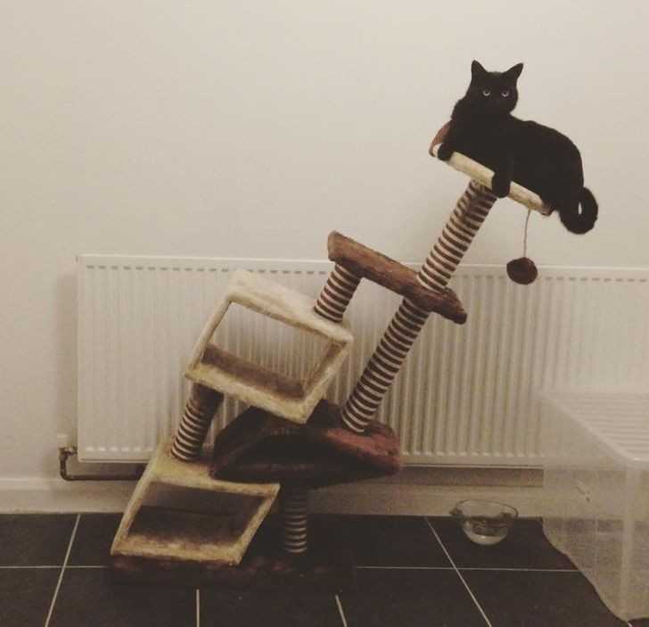 15.