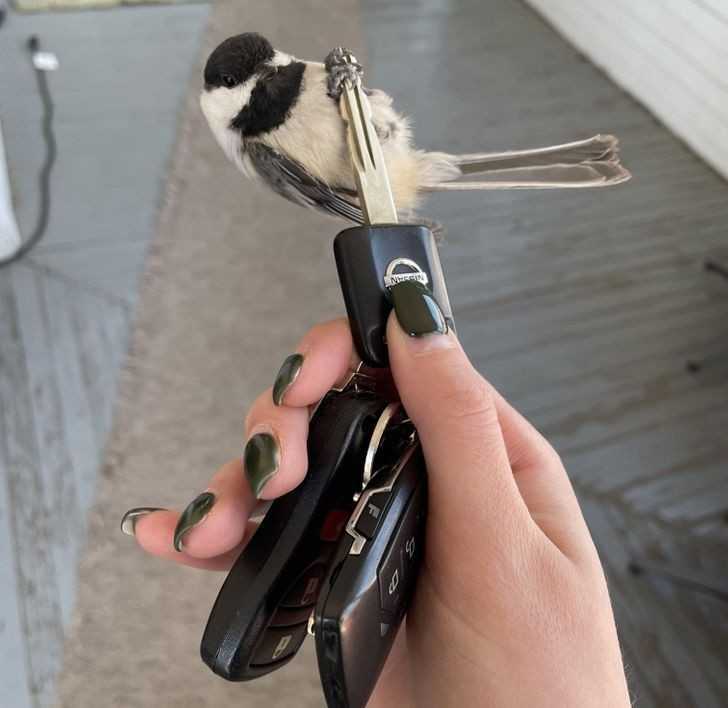 7.