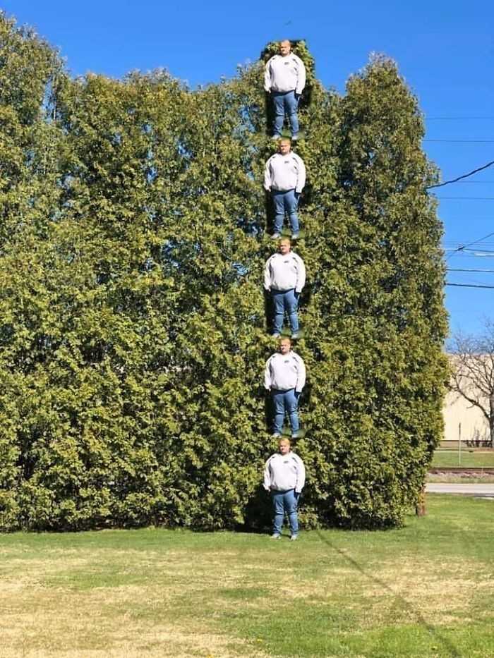 6.