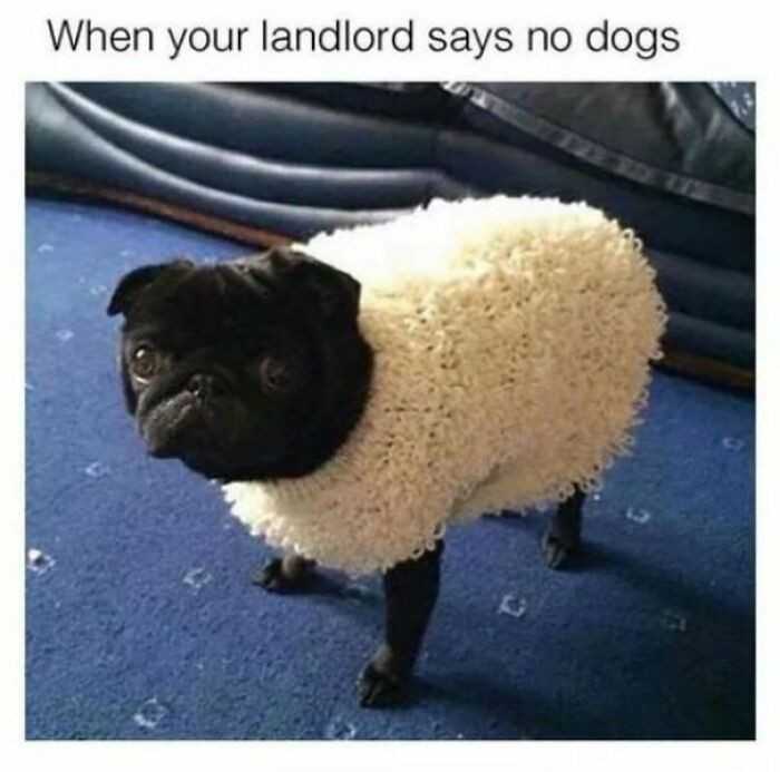 8.