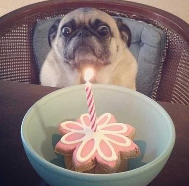 15. Chyba liczуł na tort
