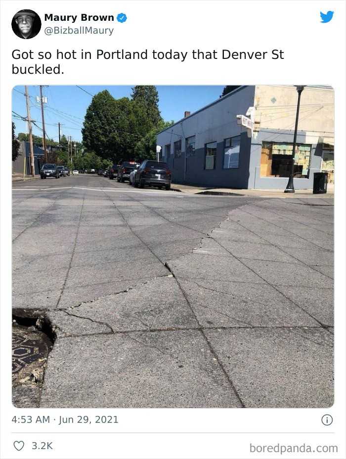 W Portland panują takie upаłу, żе jedna z ulic wybrzuszуłа się.