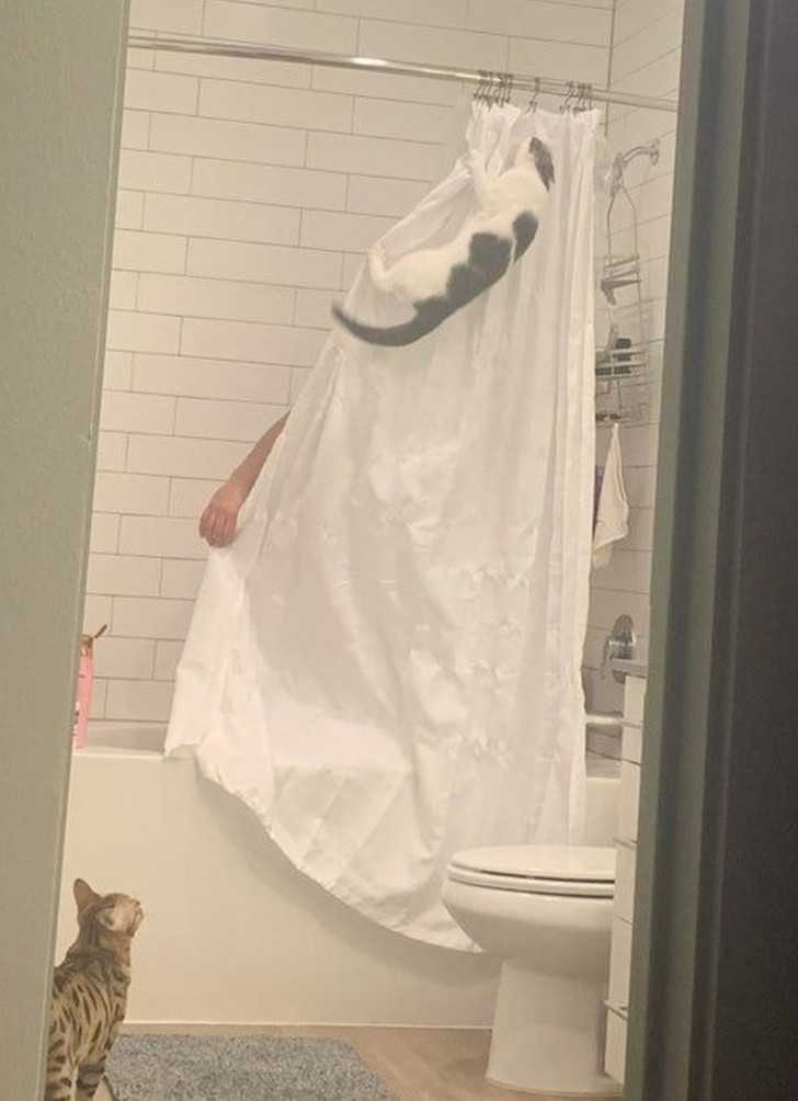 17.