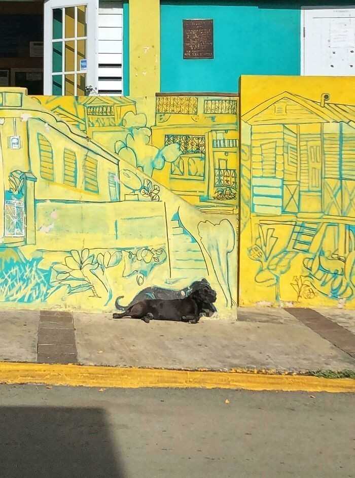 6.