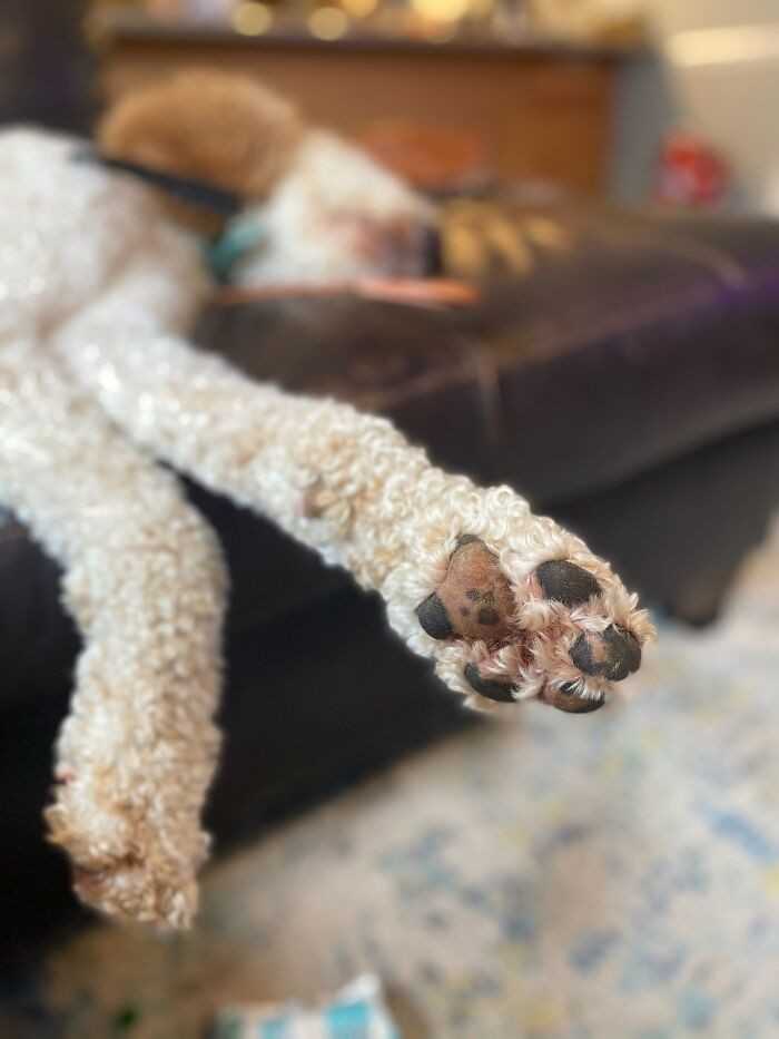 9.