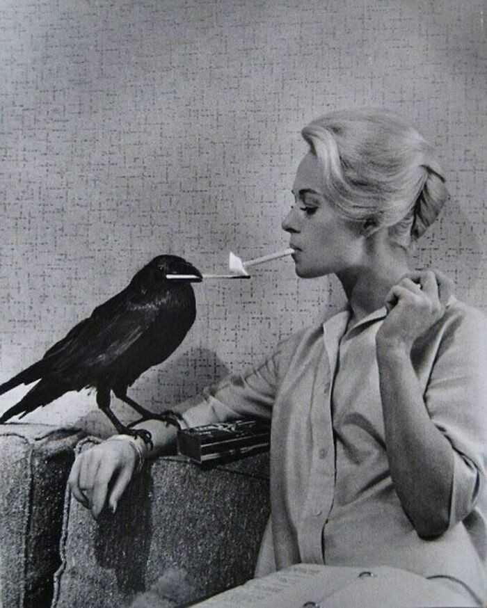 Wrona podpalająсa papierosa Tippi Hedren na planie