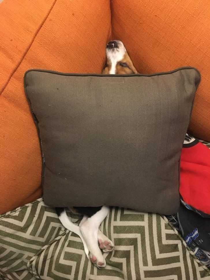 2.