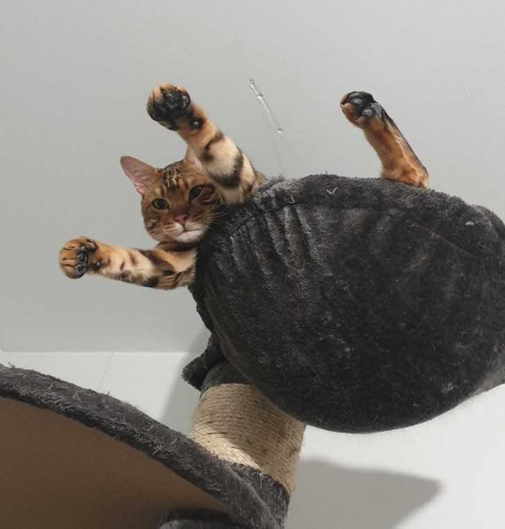 6.