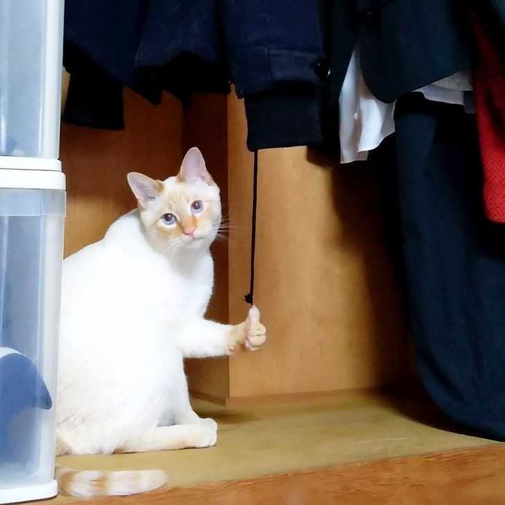 9.
