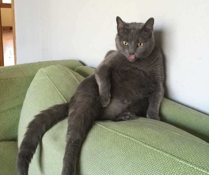 11.