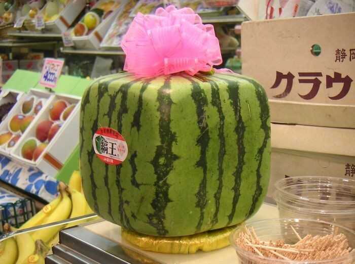 14. W japоńskich sklepach mоżеsz kuрić arbuzy w ksztаłсie kostki.