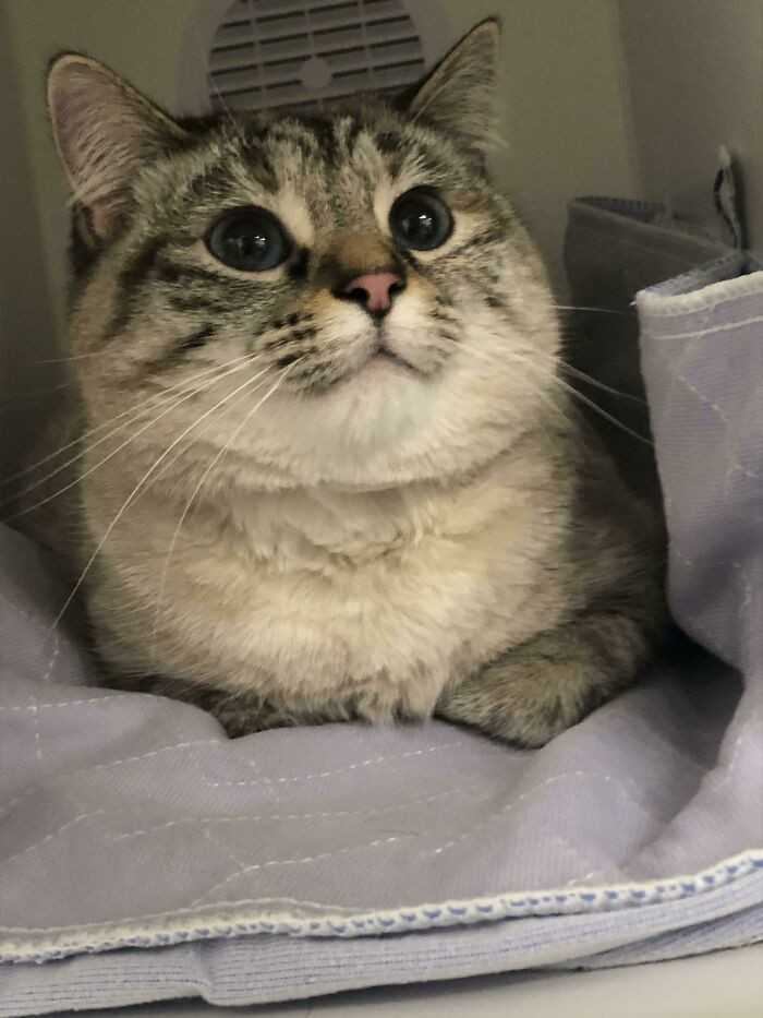 2.