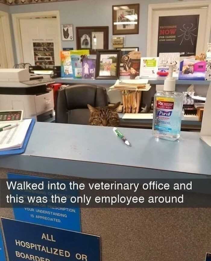 4.