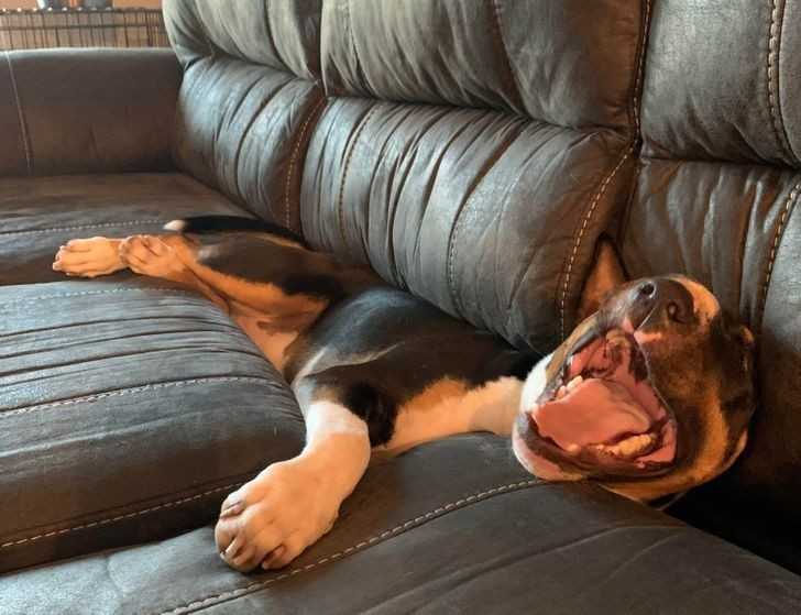 1. 
